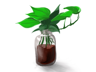 Plants by the windowsill digital painting illustration procreate