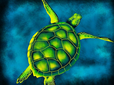 Sea Turtle seaturtle