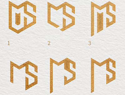 M + S Logo branding illustration logo logotype typography