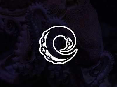 Ocean Octopus brand design brand identity clean design flat icon logo logo designs logodesigner ocean octopus octopus logo