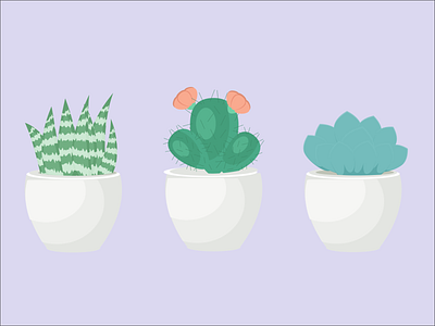 succulents - Illustration