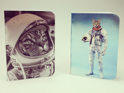 Photo astronaut cat cats nasa notebook space