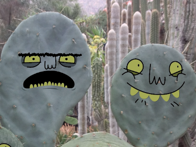 The Cactus Boys cactus design fun gang goofy green illustrations photo unibrow