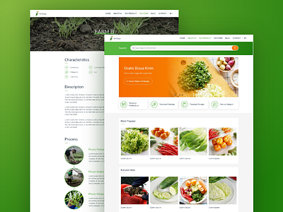 Amboja Farm | Web Design and Wordpress Development company ecommerce farm food green plant shop ui ux vegetable vegetables web design web designer web developer web development website wordpress wordpress design wordpress developer wordpress development wordpress theme