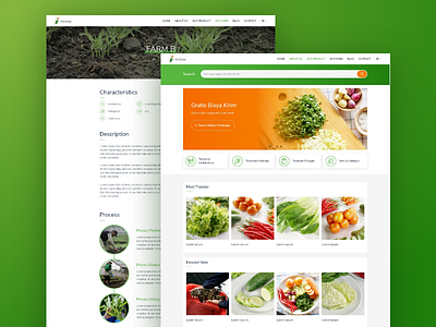 Amboja Farm | Web Design and Wordpress Development