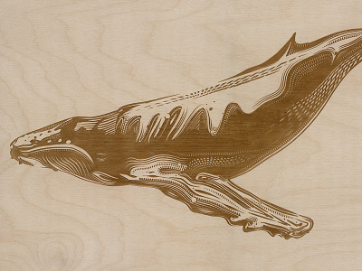 Whale Etching etching illustration laser vector whale wood