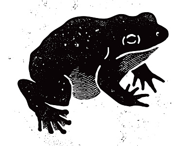 Goliath animal frog illustration