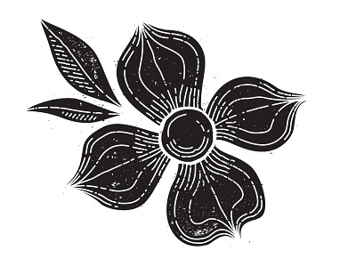 Dogwood black and white flower illustration line drawing