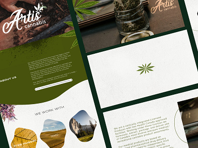 Artis Cannabis brand identity branding cannabis website design graphic design home page landing page ui uiux user experience design user interface design ux