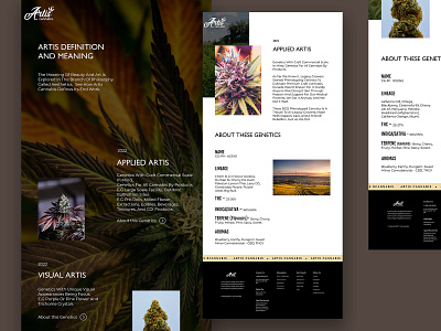 Cannabis website. cannabis producer cannabis website product design ui uiux uiux design ux website design