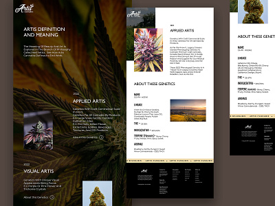 Cannabis website.