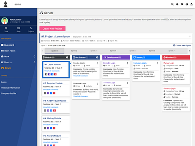 ECMS - Scrum Project View branding design icon illustration illustrator logo typography ui ux web website