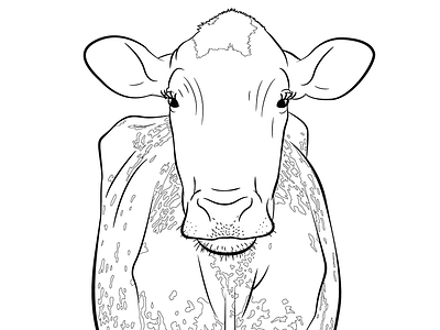 Line-work Of Milking Shorthorn ada cow dairy line work vector