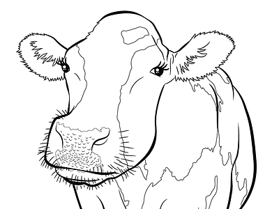 Line-work Of Holstein