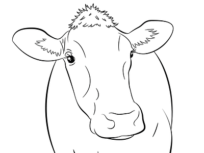 Line-work Of Guernsey ada cow dairy line work vector