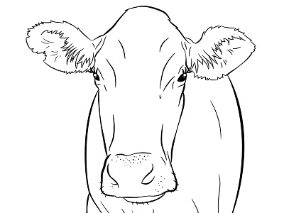 Line-work Of Brown Swiss ada cow dairy line work vector