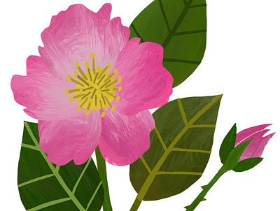 Rose 3 art botanical illustration collage design illustration lily print design procrete texture