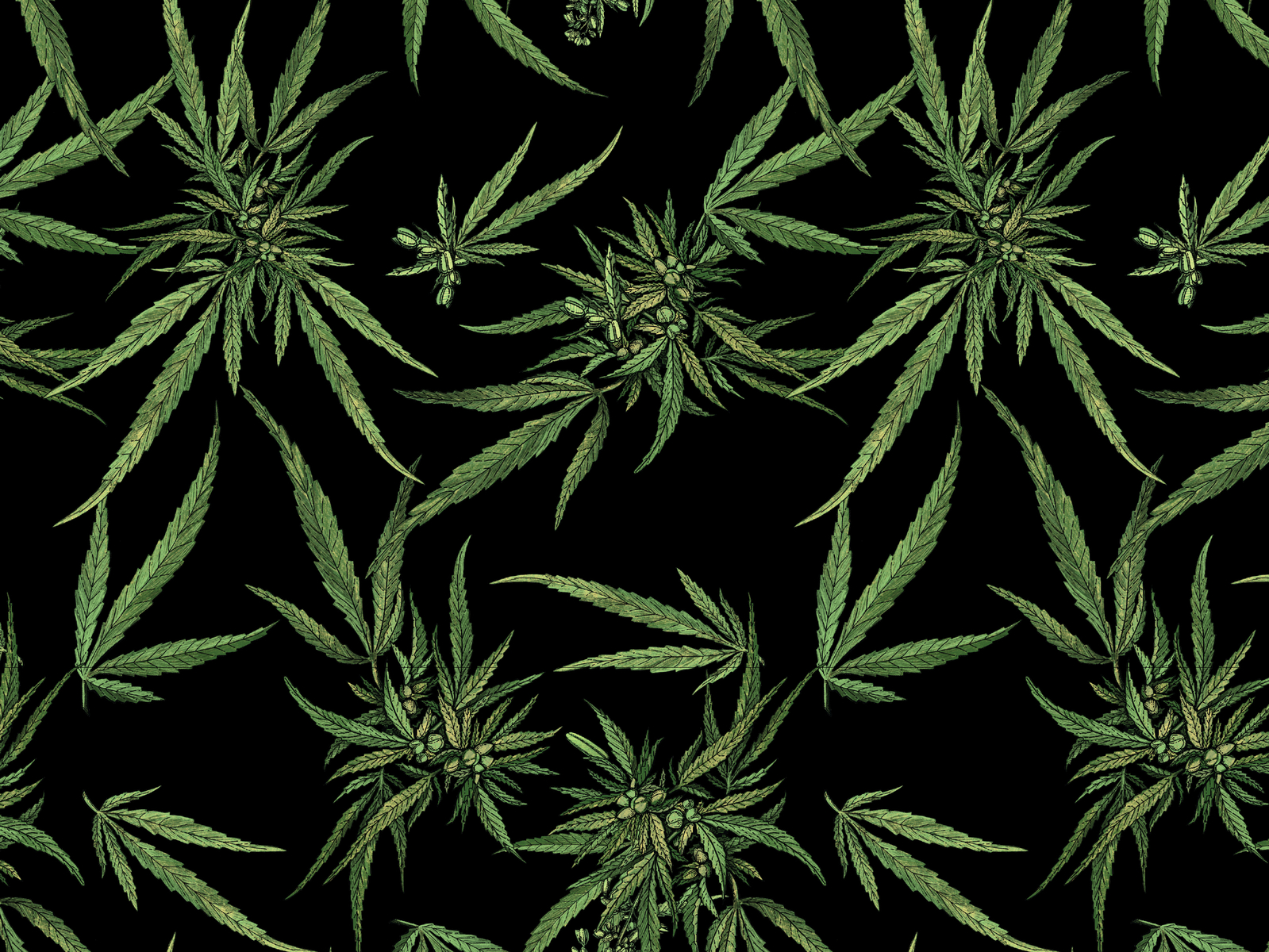 Картинки для обои марихуана как прорастить семена гидропоники