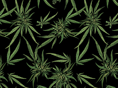 Cannabis Print apparel design art cannabis cannabis branding design digital illustration digital painting graphic artist illustration pattern pattern design textile design textile pattern textiles