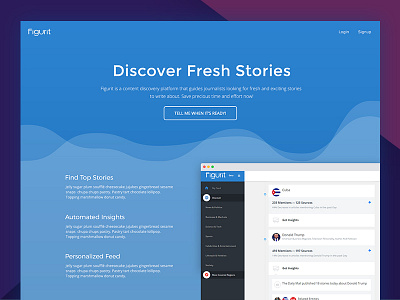 Figurit Homepage Redesign