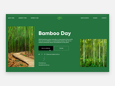Bamboo Day Website Main Screen bamboo bamboo day celebrate green hover landing main main screen minimalism nature ui uidesign uiux webdesign