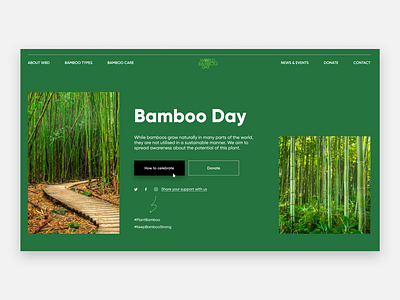 Bamboo Day Website Main Screen