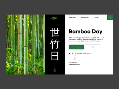 Bamboo Day Website Main Screen (part 2)