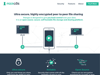 Peergos Logo and Site Design design encryption illustration logo security ui website