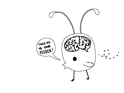 Take me to your feeder! alien bird brain illustration speech bubble