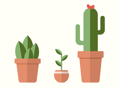 First flat design - Potted plants cactus flat design illustration lockdowninspiration plants pots potted plants stayhome staymotivated succulent