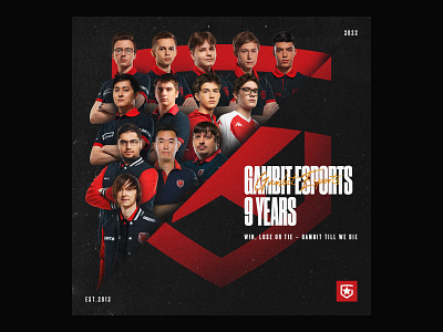 Gambit Esports 9 Years branding esports poster team
