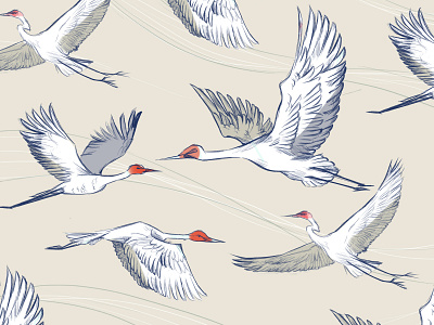 cranesinthesky.jpg birds cranes cranesinthesky design illustration japanese pattern pattern pencil drawing photoshop sketch solange