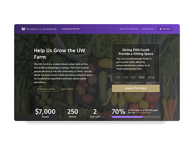 Branded Crowdfunding Page crowdfunding crowdfunding campaign landing page