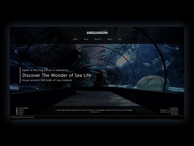 Aquarium Web Design aquarium design sea simple ui website