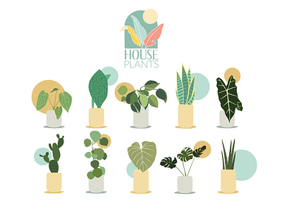 House Plants - Illustration adobe illustrator branding clean design design graphic design illustration logo minimalistic plant illustration vector visual identity