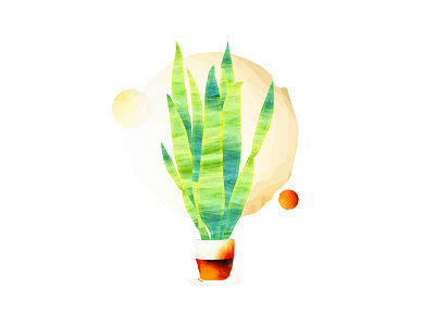 Sansevieria Snake Plant illustration :) adobe illustrator botanical illustration design drawing graphic design illustration sketch watercolors