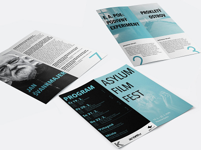 Asylum Film Fest Brochure asylum blue brochure film festival filmfest freaky graphic design prints