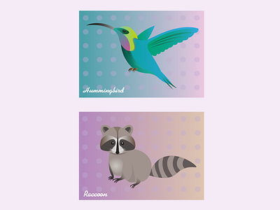 Animals animal animals bird hummingbird illustration racoon vector