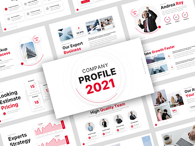 Company Profile Presentation Template