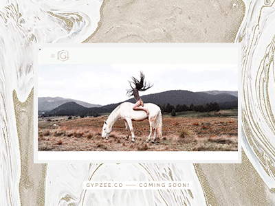 Gypzee Website Preview squarespace