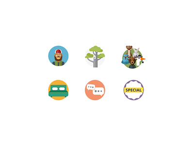 Icons for kiwiexperience.com icons web design