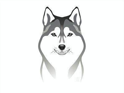 Husky dog husky illustration job sticker design vector