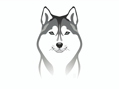 Husky