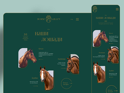 Horse valley website webdesign
