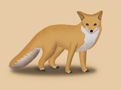 Cunning Fox