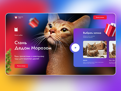 Cat shelter Home Page Concept animal asus blur cat charity christmas color concept contest design dog donations dribbbleweeklywarmup homepage landing love new year promo shelter ui