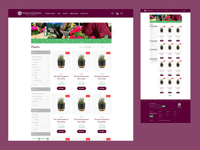 Coletta and Tyson - Product Listing ecommerce ui website website design