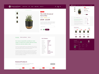 Coletta and Tyson - Product Details ecommerce ui website website design