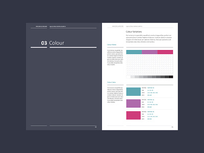 Recode - Brand - Colours brand brand identity branding brochure colour palette