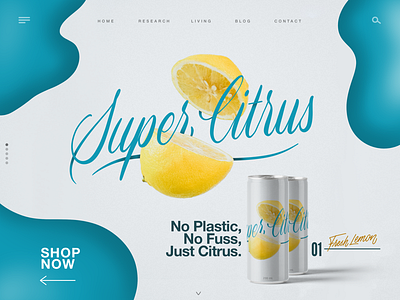 Super Citrus Landing page citrus graphic design hand lettered hand lettering lemon lettering product type design typography web design website design